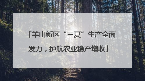 羊山新区“三夏”生产全面发力，护航农业稳产增收