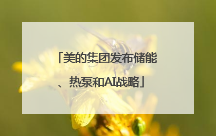 美的集团发布储能、热泵和AI战略