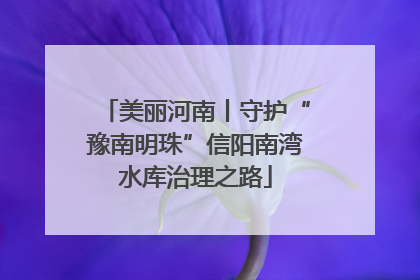 美丽河南丨守护“豫南明珠”信阳南湾水库治理之路
