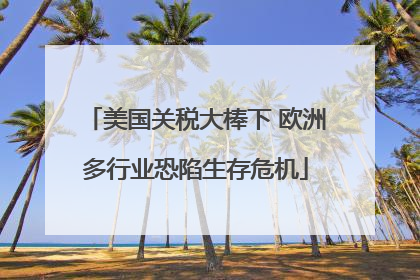 美国关税大棒下 欧洲多行业恐陷生存危机