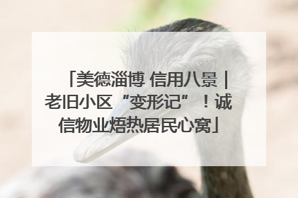 美德淄博 信用八景｜老旧小区“变形记”！诚信物业焐热居民心窝