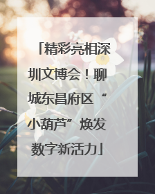 精彩亮相深圳文博会！聊城东昌府区“小葫芦”焕发数字新活力