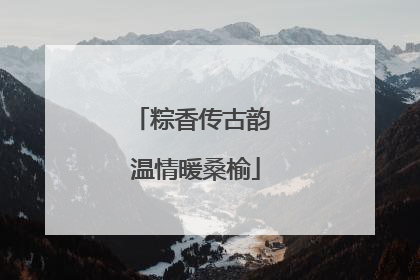 粽香传古韵 温情暖桑榆