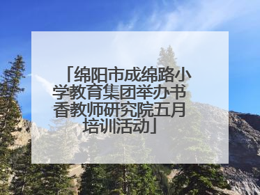 绵阳市成绵路小学教育集团举办书香教师研究院五月培训活动