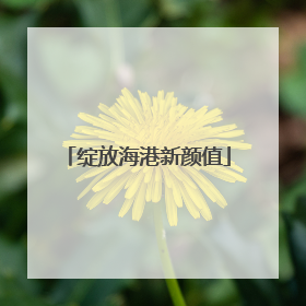 绽放海港新颜值