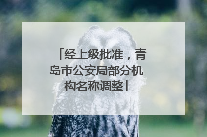 经上级批准，青岛市公安局部分机构名称调整