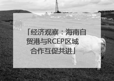 经济观察：海南自贸港与RCEP区域合作互促共进