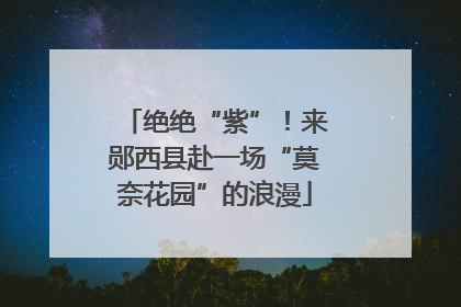 绝绝“紫”！来郧西县赴一场“莫奈花园”的浪漫