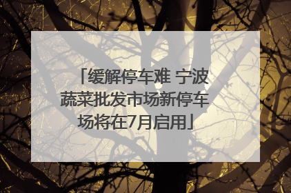 缓解停车难 宁波蔬菜批发市场新停车场将在7月启用