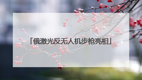 俄激光反无人机步枪亮相