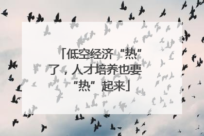 低空经济“热”了，人才培养也要“热”起来