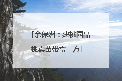 余保洲：建桃园品桃卖苗带富一方