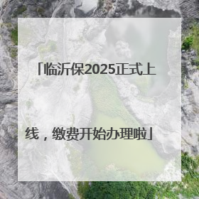 临沂保2025正式上线，缴费开始办理啦