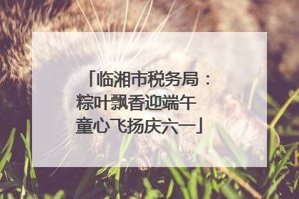 临湘市税务局：粽叶飘香迎端午 童心飞扬庆六一