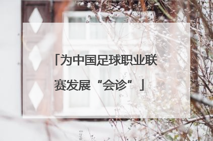 为中国足球职业联赛发展“会诊”