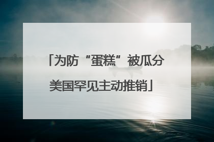 为防“蛋糕”被瓜分 美国罕见主动推销