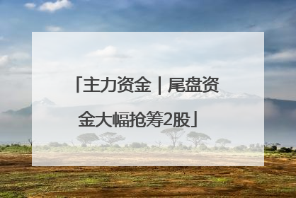 主力资金｜尾盘资金大幅抢筹2股