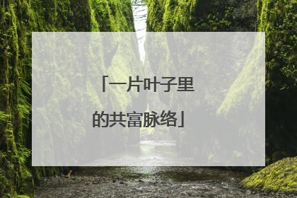 一片叶子里的共富脉络