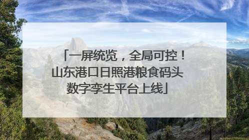 一屏统览，全局可控！山东港口日照港粮食码头数字孪生平台上线