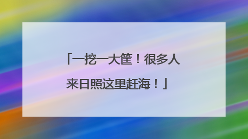 一挖一大筐！很多人来日照这里赶海！