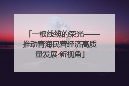 一根线缆的荣光——推动青海民营经济高质量发展·新视角