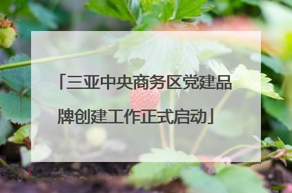 三亚中央商务区党建品牌创建工作正式启动