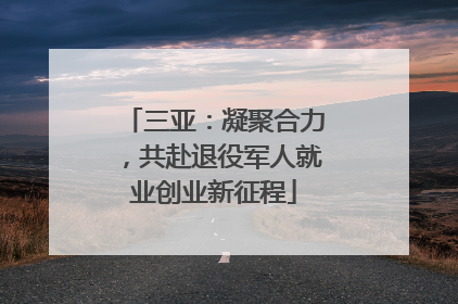 三亚：凝聚合力，共赴退役军人就业创业新征程