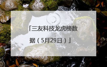 三友科技龙虎榜数据（5月29日）