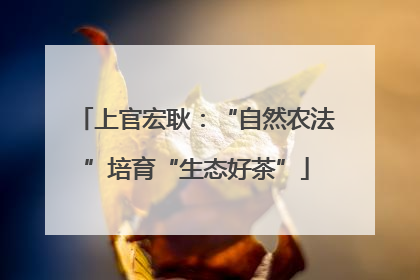上官宏耿：“自然农法”培育“生态好茶”