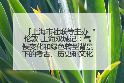 上海市社联等主办“伦敦-上海双城记：气候变化和绿色转型背景下的考古、历史和文化遗产”学术对话