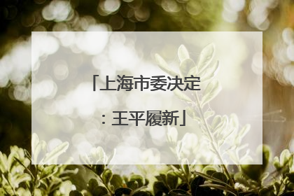 上海市委决定：王平履新