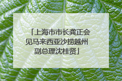 上海市市长龚正会见马来西亚沙捞越州副总理沈桂贤