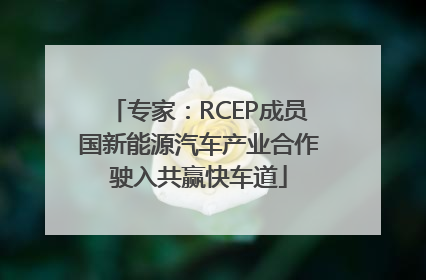 专家：RCEP成员国新能源汽车产业合作驶入共赢快车道
