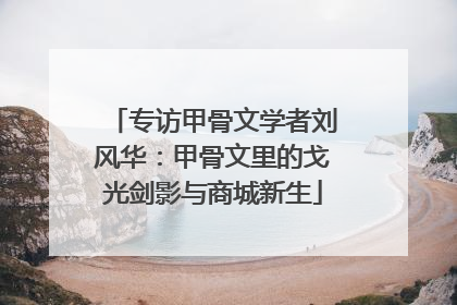 专访甲骨文学者刘风华：甲骨文里的戈光剑影与商城新生