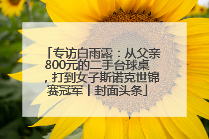 专访白雨露：从父亲800元的二手台球桌，打到女子斯诺克世锦赛冠军丨封面头条