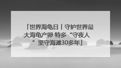世界海龟日丨守护世界最大海龟产卵 特多“守夜人”坚守海滩30多年