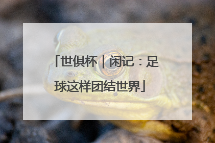 世俱杯｜闲记：足球这样团结世界