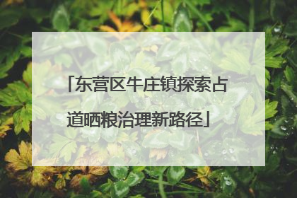 东营区牛庄镇探索占道晒粮治理新路径