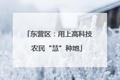 东营区：用上高科技 农民“慧”种地