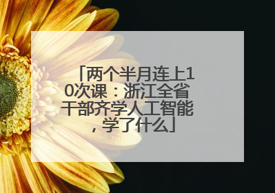 两个半月连上10次课：浙江全省干部齐学人工智能，学了什么