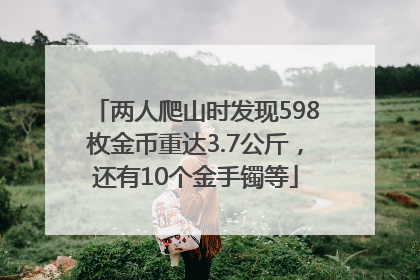两人爬山时发现598枚金币重达3.7公斤，还有10个金手镯等