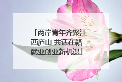 两岸青年齐聚江西庐山 共话在赣就业创业新机遇
