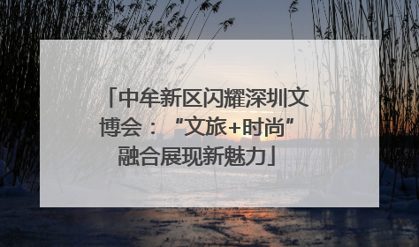中牟新区闪耀深圳文博会：“文旅+时尚”融合展现新魅力