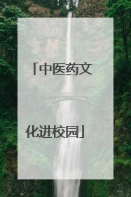 中医药文化进校园