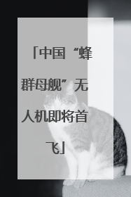 中国“蜂群母舰”无人机即将首飞