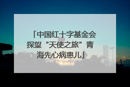 中国红十字基金会探望“天使之旅”青海先心病患儿