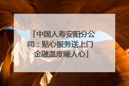 中国人寿安阳分公司：贴心服务送上门 金融温度暖人心