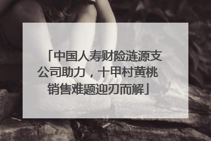中国人寿财险涟源支公司助力，十甲村黄桃销售难题迎刃而解