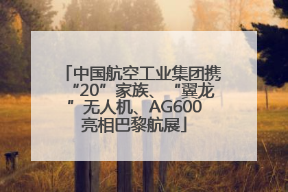 中国航空工业集团携“20”家族、“翼龙”无人机、AG600亮相巴黎航展