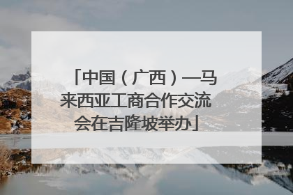中国（广西）—马来西亚工商合作交流会在吉隆坡举办